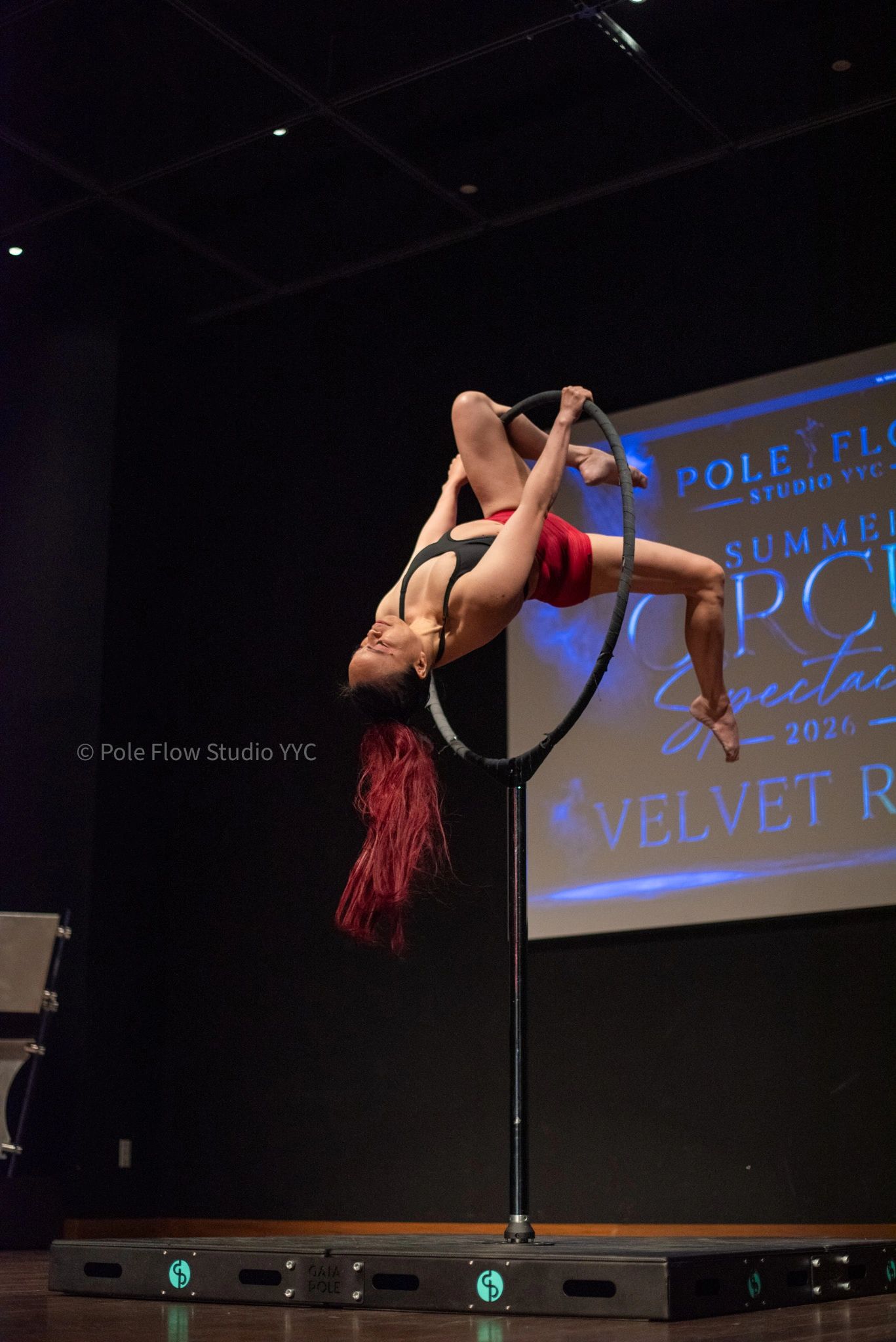 Aerial lyra showcase performance — RST_6678